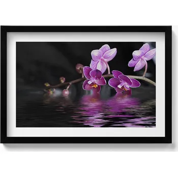 Obraz Dekorativní obraz v rámu na zeď Růžový květ orchideje na vodě 60x40 cm