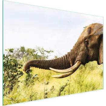 Kuchyňské prkénko Krájecí deska TMK ArtDeko sklo 1 ks