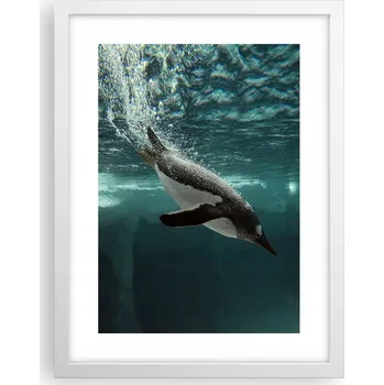 Obraz Obraz plakát v bílém rámu do obýváku 30x40 tučňák foto plakáty na zeď