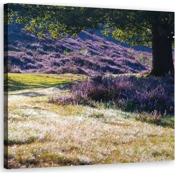 Obraz OBRAZ NA PLÁTNĚ Levandulové pole fialové 40x40