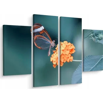 Obraz Obraz Čtyřdílný Květiny Motýl Příroda Makro 80x60 cm
