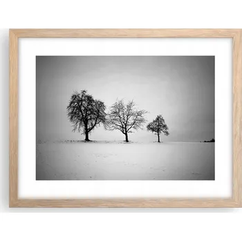 Obraz Obraz plakát v rámu světlý dub do obýváku 40x30 krajina foto na zeď