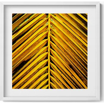 Obraz Dekorativní nástěnný obraz v bílém rámu s grafikou Listy rostliny 50x50 cm