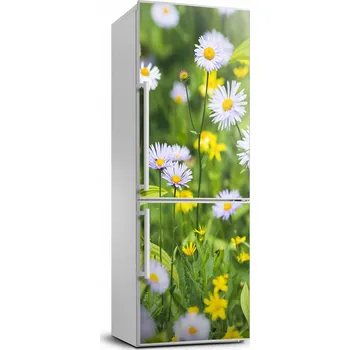 Fototapeta Samolepicí fólie / fototapeta na lednici - Sedmikrásky