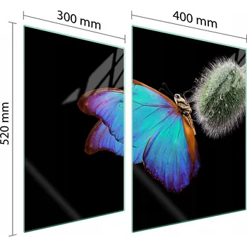 Obraz Krájecí deska TMK ArtDeko sklo 2 ks