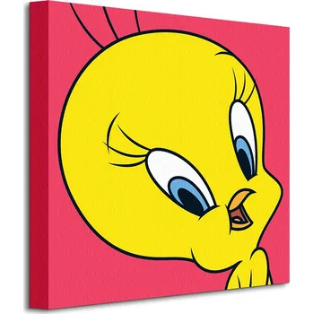 Obraz Looney Tunes (Tweety) - Obraz na plátně 40x40 cm