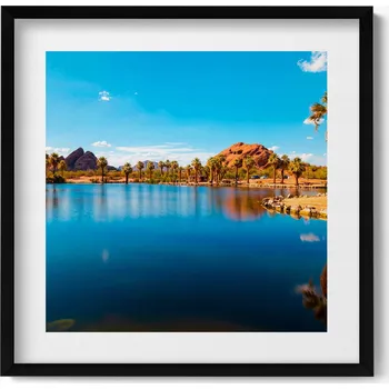 Obraz Dekorativní nástěnný obraz v rámu s grafikou: Scenérie parku Papago, 50x50 cm