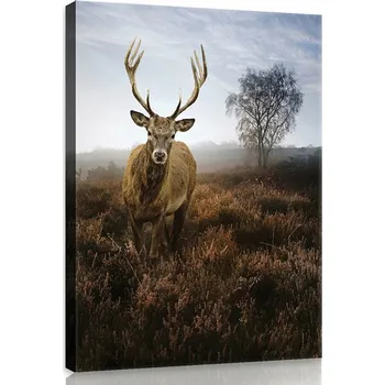 Obraz OBRAZ NA PLÁTNĚ CANVAS 40x60 JELEN KRAJINA PŘÍRODA