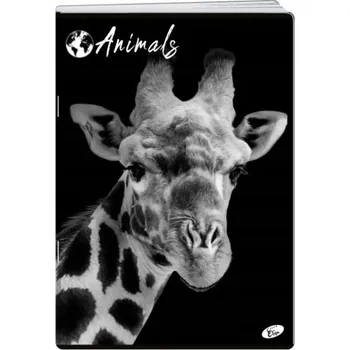 Sešit Sešit linkovaný A5 Elisa 60 listů