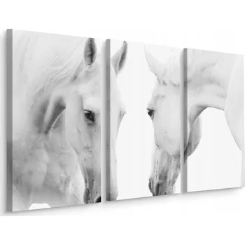 Obraz Obraz Triptych Bílí KONĚ Zvířata Dekorace 60x40
