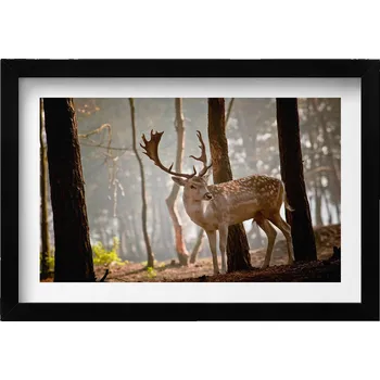 Obraz Obraz grafika v černém rámu Jelen v záři vycházejícího slunce 30x20 cm