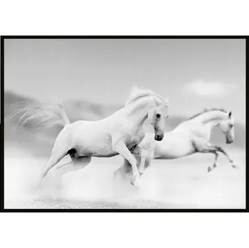 Obraz OBRAZ PLAKÁT V RÁMU 43x33 cm Koně P901