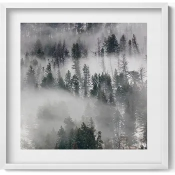 Obraz Nástěnný obraz v bílém rámu do obýváku kuchyně Krajina mlhavý les 50x50 cm