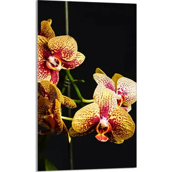 Kuchyňské prkénko Krájecí deska TMK ArtDeko sklo 1 ks