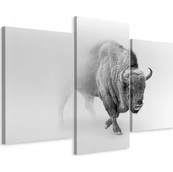 Obraz Obraz Tryptych BIZON v Mlze Zvíře Příroda 60x40