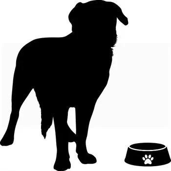 Samolepící dekorace Samolepka na zeď Drukant Pes Labrador 50 x 50 cm černá