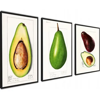 Obraz Plakát Sada plakátů na zeď ovoce avokádo plakáty bez rámu 40 x 50 cm