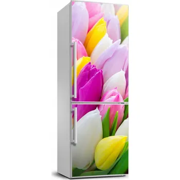 Fototapeta Foto Samolepka na ledničku Barevné tulipány