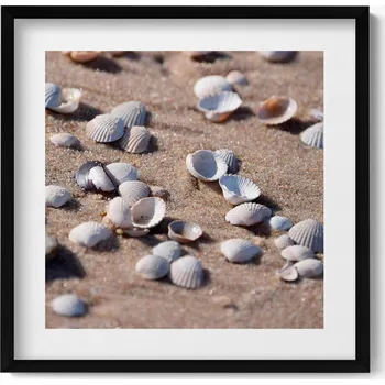 Obraz Dekorativní nástěnný obraz s grafikou v černém rámu Mušle na pláži 50x50 cm