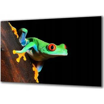 Obraz Obraz na skle Zvířata 309024722 100x50