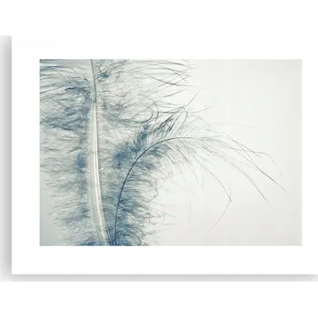 Obraz Obraz plakát do obýváku ložnice 40x30 pírka foto plakáty na zeď bez rámu