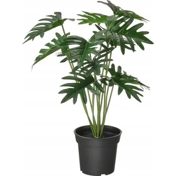 umělá květina FEJKA Umělá rostlina v květináči Filodendron, 54 cm
