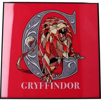 Obraz Plakát Harry Potter 335 x 335 cm