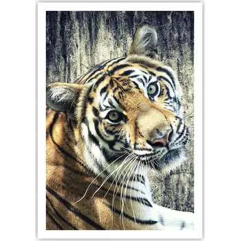 Obraz Plakát na zeď bez rámu 70x100 zvířata obraz plakáty do obývacího pokoje ložnice