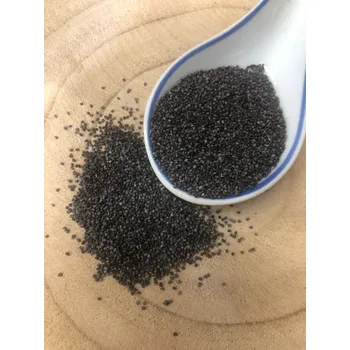 Semeno Poppy Blue Seeds (Mák modrý) (balení 1)