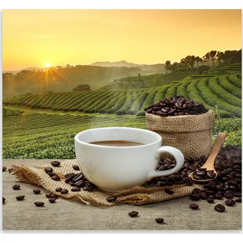 Kuchyňské prkénko Skleněná Ochranná Deska a Krájecí Prkénko | Indukce, Sporák ds-0024