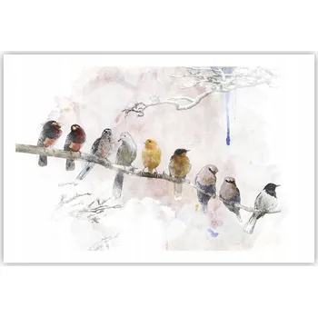 Obraz Obraz plakát do obýváku ložnice 91x61 cm ptáci foto plakáty na zeď bez rámu
