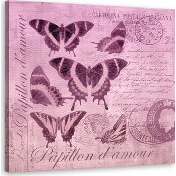 Obraz Obraz Motýli na růžovém pozadí - Andrea Haase 60x60