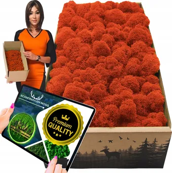 Obraz Sobí mech CHROBOTEK finský 500g Dekorativní PREMIUM živý okrasný