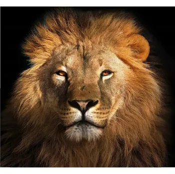 Kuchyňské prkénko Skleněná Ochranná Deska a Krájecí Prkénko | Indukce, Sporák ds-0439