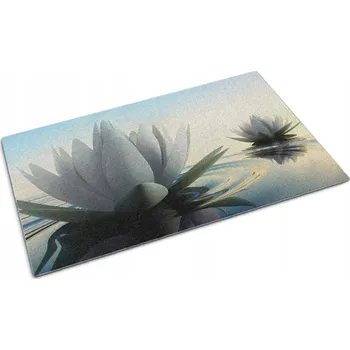 Rohožka Savá venkovní vstupní rohožka před dveře Lekníny XXL 150x100 cm