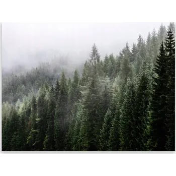 Kuchyňské prkénko Skleněná Ochranná Deska a Krájecí Prkénko | Indukce, Sporák ds-0139