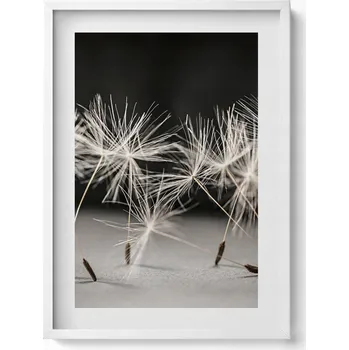 Obraz Elegantní obraz do obývacího pokoje v bílém rámu Jemné chmýří pampelišky 50x70 cm