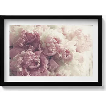Obraz Dekorativní nástěnný obraz do obýváku, kuchyně - Jemné květy pivoňky 60x40 cm