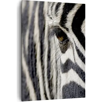 Obraz Obraz na plátně do obýváku ložnice 50x70 zvířata obrazy na zeď canvas