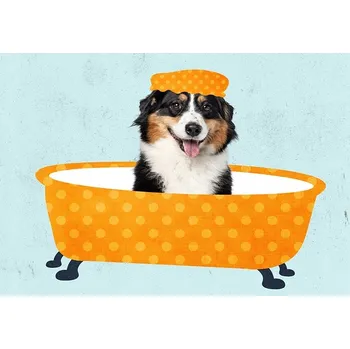 Obraz PLAKÁT BEZ RÁMU do Koupelny WC Toalety PES v čepici ve VANĚ P2576_30x40