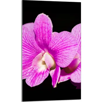 Kuchyňské prkénko Krájecí deska TMK ArtDeko sklo 1 ks