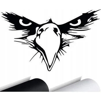 Samolepicí dekorace na vozidlo NÁLEPKA na auto ORLICE Pohled Orlí Tvář 9x15