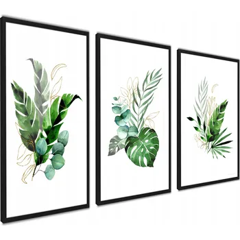 Obraz Moderní obrazy Botanika Monstera Zelená 30x40