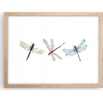 Obraz Obraz plakát v rámu světlý dub do obýváku 40x30 hmyz foto plakáty na zeď