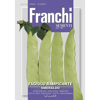 Semeno Fazole táhla - SMERALDO