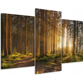 Obraz 3dílný obraz STROMY Západ Slunce 3D 90x60