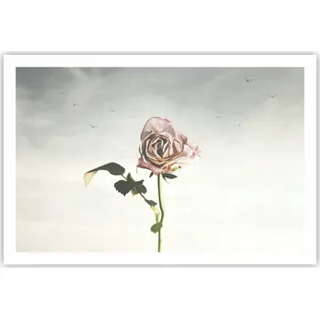 Obraz Obraz plakát do obýváku ložnice 91x61 růže foto plakáty na zeď bez rámu
