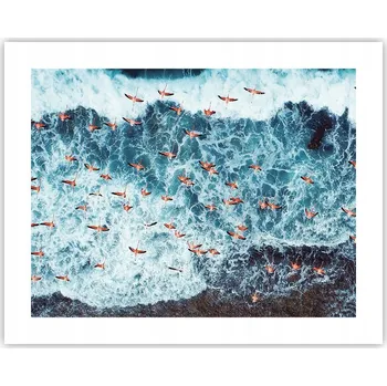 Obraz Obraz plakát na zeď bez rámu 50x40 ptáci foto plakáty do obývacího pokoje ložnice