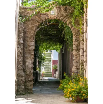 Obraz Plakát Capri 2 bez rámu 29,7 x 42 cm