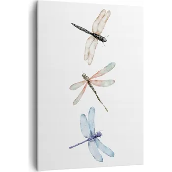 Obraz Obraz na plátně do obýváku ložnice 50x70 hmyz obrazy na zeď canvas